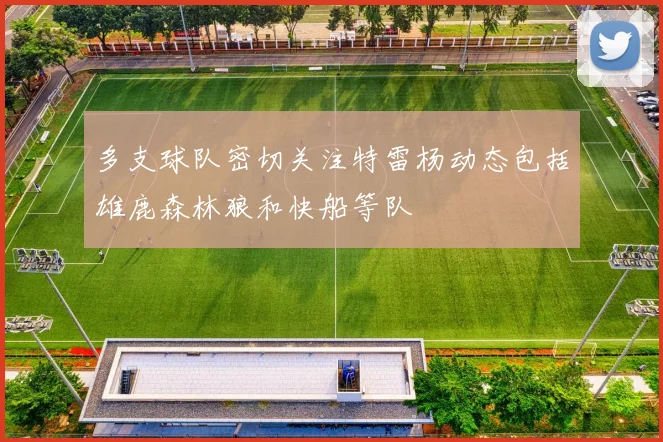 多支球队密切关注特雷杨动态包括雄鹿森林狼和快船等队