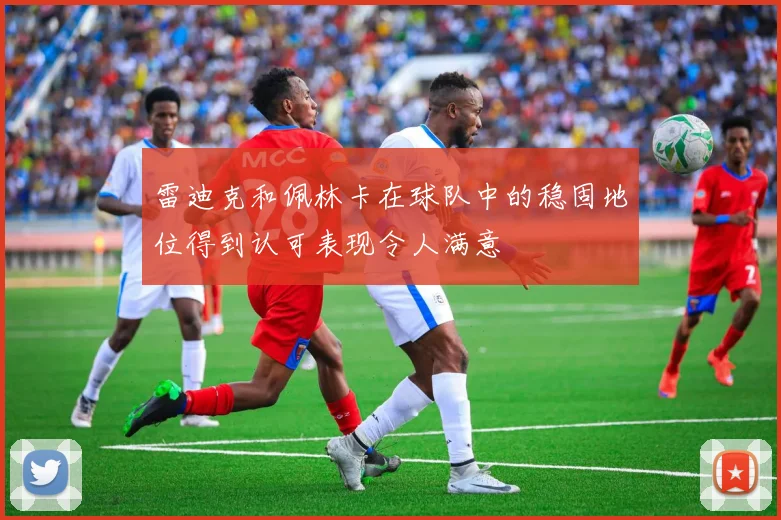 雷迪克和佩林卡在球队中的稳固地位得到认可表现令人满意